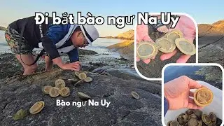 Ra đảo bắt bào ngư ,câu cá tuyết/ Trúng được một ổ bào ngư
