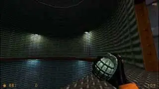 Half Life Part 4: Crazy Space Octopus