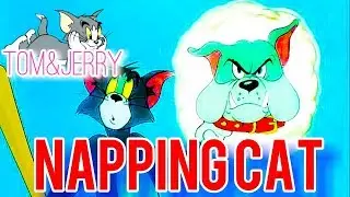 Tom And Jerry English Episodes - Cat Napping - Cartoons For Kids