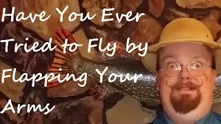 Have You Ever Tried to Fly by Flapping Your Arms
