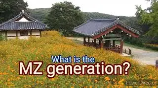 What is the MZ generation?