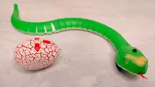 Rc Green Jungle Fastest Snake Unboxing & Testing Prank Gadgets | prank snake unboxing #snakeprank
