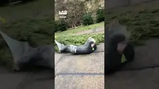Lad jumps through Christmas tree netting 💀 (🎥: CONTENTbible)