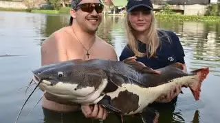 😱Saral  greatest net Fishing video /Amazing Fishing video/Viral/Fishing/Viralvideo/
