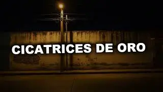 Cicatrices de Oro 🔥 Corridos Tumbados Oscuros | Estilo Junior H