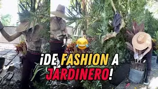 SEMBRANDO, PERO CON GLAM 🤣