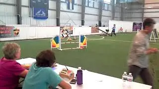 All Breed Rescue & Training Colorado Springs
