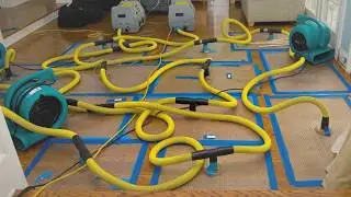 Mold Removal And Remediation Baltimore MD