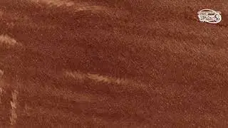 The Zen Spin