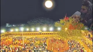 World&rsquo;s largest Tribal Festival (sammakka Saralamma Jatara )