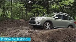 FORESTER X-mode. Режим глибокий сніг/багно