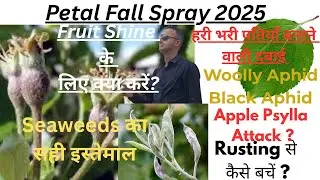 Petal Fall Spray | Petal Fall Spray Schedule 2025 |