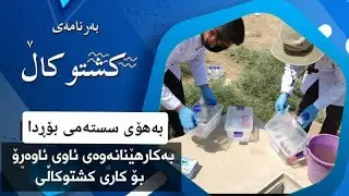 پاڵاوتنی ئاوی ئاوەڕۆ و دووبارە بەکارهێنانەوەی لە کاری کشتوکاڵی