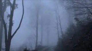 Marc Rice - Dark Forest (visualizer)