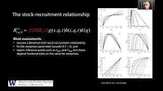 Recruitment modelling and tuna fisheries