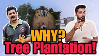 Can Tree Plantation REALLY Make a Difference? 🌏 Give back to society!