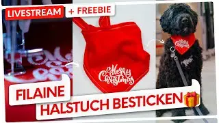 🔴🧵 #62 Schrift sticken mit Filaine Stickgarn (Jade 35 / Veritas Florence)