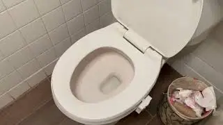 Aanrasey Toilet Night Light, Toilet Bowl Light, Motion Sensor Activated LED Night Light Review