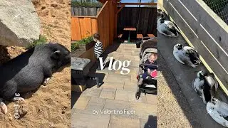 Zoopark Nehvizdy Vlog
