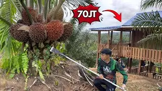 Saya Membangun Pondok Seharga 70JT Di Kebun Sawit Ku