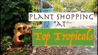 Top Tropicals Nursery Tour