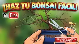 Trabajito sencillo que podemos hacer a nuestro bonsai