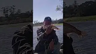 root fishing with gaia hook 🎣