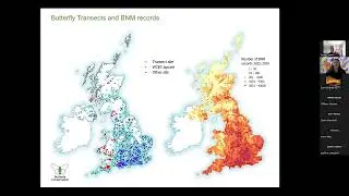 Cryptic Wood White and Other Whites - ID and Survey Workshop | Butterfly Conservation