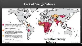 Topic 7: Energy Balance
