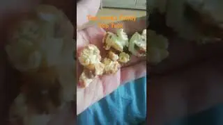 Test smaku Candy Pop Twix #popcorn #sweetpopcorn #sweetandsalty