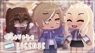 drivers license || GCMV || (OLD)