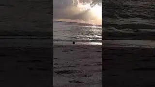tudo perfeito, observe  bem, n&atilde;o &eacute; lindo?