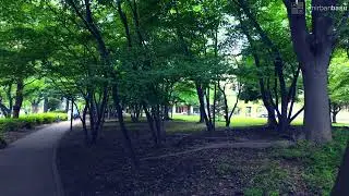 Walk in Akashichō, Tokyo