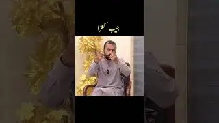 #sdqjaan #sdqjan #siddiquejaan