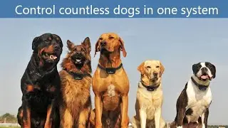 MASBRILL Electric Fence for Dogs-Underground Dog Fence Containment System In-Ground Electric Dog