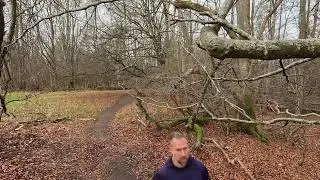 Halfdan Runs - Playful Moesgaard Skov to Strand, Giber &Aring; and Back on a Mild December Morning