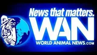 Last Chance For Animals 2015 Gala (World Animal News)