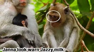Jazzy when finish milk? JANNA deep hungry sit deep sadness look her milk by jealous baby JAZZY