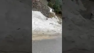 Dalhousie snow path😍beautiful destination 🥰Dhainkund place # Dalhousie#snowfall# shorts#viral# ☃️