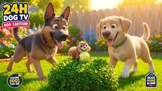 Dog Cartoon with Calming Music: Boredom Busting Videos for Dogs When Home Alone - DOG TV 🐶 NO ADS