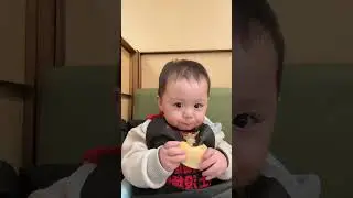 Four-minute immersive experience of munching on Hami melon#Human cubs#Cute little foodie#S