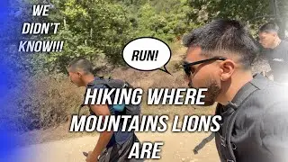 We Went Hiking And Didn't Know There Was Mountain Lions... (VLOG)