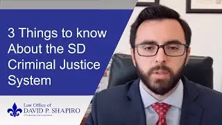 3 Things to Know About the San Diego Criminal Justice System 2020