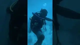 The uncle went diving, and the little fish gathered around to watch.