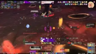 predicted vs. WARLORD ZONOZZ 25HC Waschb&auml;r Shadowpriest