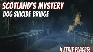 The Dog Suicide Bridge in Scotland & 4 Most Bizarre Mysterious Places on Earth