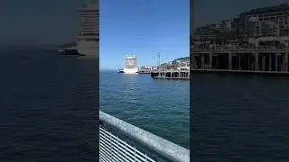 Solo Traveling Stress-Free in Seattle