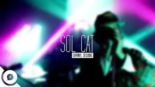 Sol Cat - Back From The Beach | OurVinyl Sessions