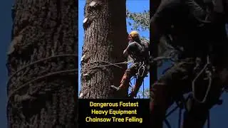 Dangerous Fastest Heavy Equipment Chainsaw Tree Felling