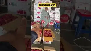 Himachal Apple | Vashi Fruit Market | Wholesale Vashi Fruit Market | Vashi APMC Wholesale Fruit |